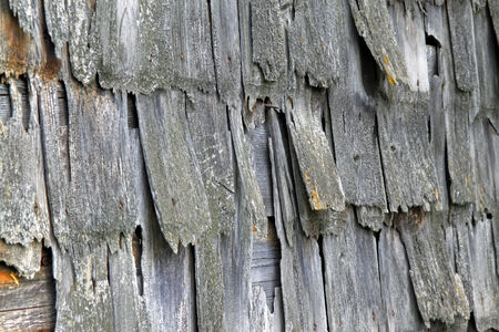 Barn shingles 62の写真素材