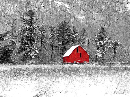 Winter barn scene at Gatineau Park black white and redの写真素材