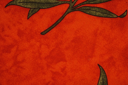 Red tissu with leafの写真素材