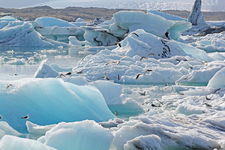 Icelandic ocean and lake view of icebergs