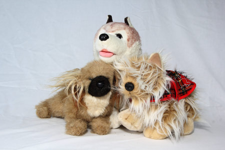 Cuddly stuffed puppy dog on a white neutral background