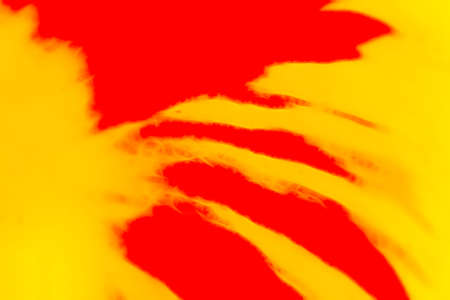 Red and yellow abstract flare for backdrop with motionの写真素材