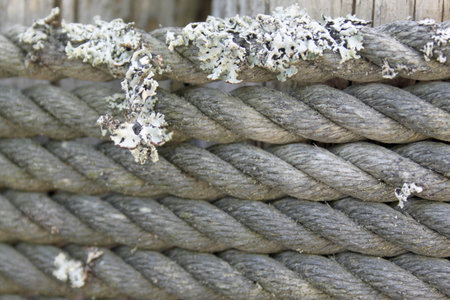 wooden fencing post standing on a sandy beach with rope