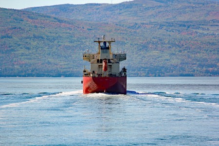Cargo ships in the St-Lawrence seaway pathの写真素材