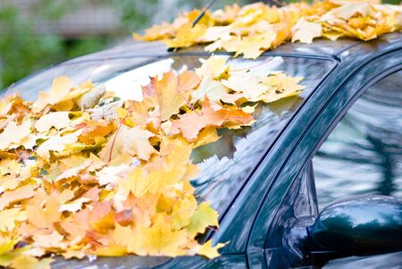 The car filled up by autumn maple foliageの写真素材