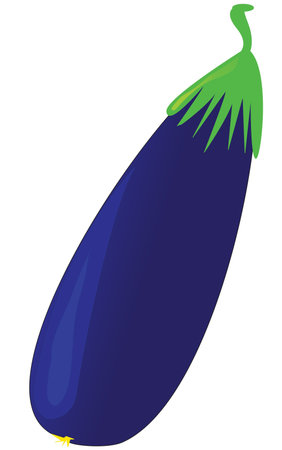illustration blue eggplant with the stemの写真素材