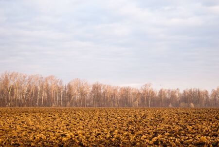 tractor plowed field in the spring morningの写真素材