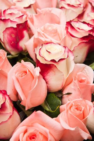 a large bouquet of red rosesの写真素材