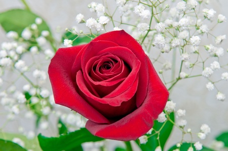 flower rose bouquet in a decorative grassの写真素材