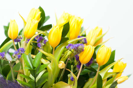 a large bouquet of yellow tulips in springの写真素材