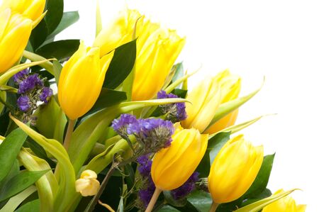 a large bouquet of yellow tulips in springの写真素材