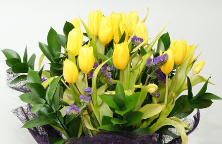 a large bouquet of yellow tulips in springの写真素材