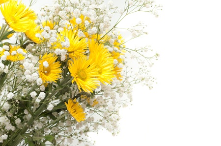 bouquet of yellow chrysanthemums on the backgroundの写真素材