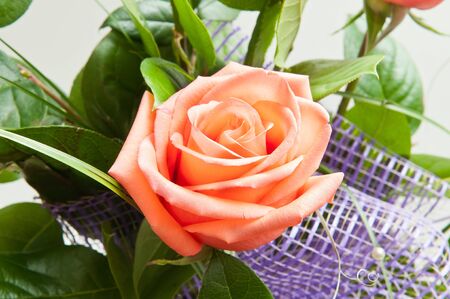 a large bouquet of red rosesの写真素材