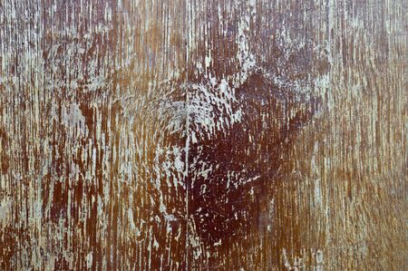 Tree trunk without bark backgroundの写真素材