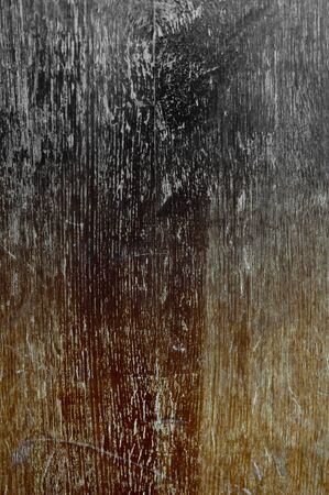 Tree trunk without bark backgroundの写真素材