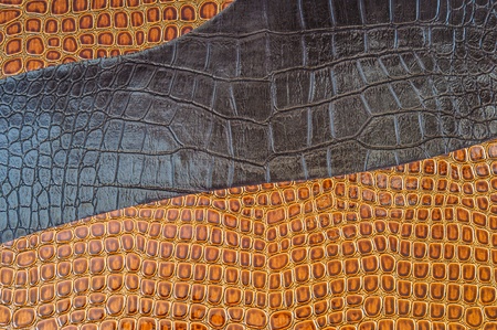 a golden brown background of the crocodileの写真素材