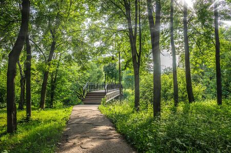 passage into the park through the old bridgeの写真素材