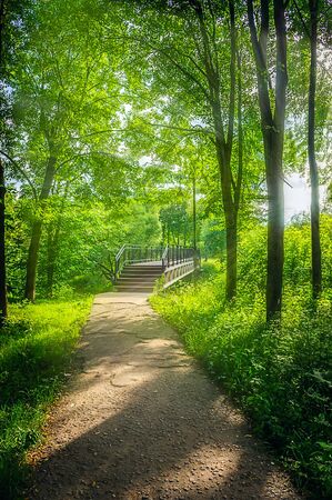 passage into the park through the old bridgeの写真素材