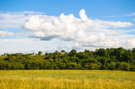 grassland landscape with the sky in the spring, sunny dayの写真素材