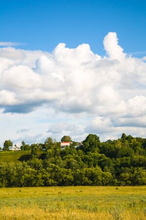 grassland landscape with the sky in the spring, sunny dayの写真素材