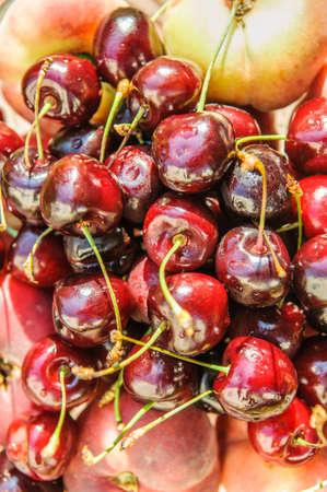 ripe cherry burgundy and peachの写真素材