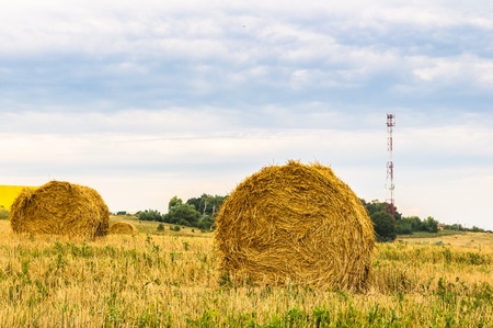 Round bales of hay in the fieldの写真素材