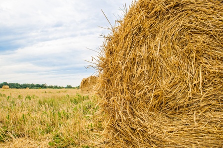 Round bales of hay in the fieldの写真素材