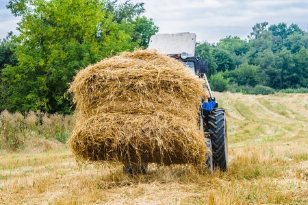 tractor removes the hay in the fieldの写真素材