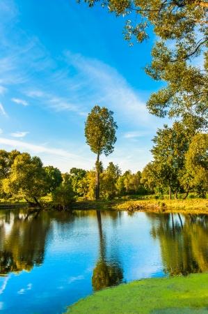 landscape green meadow stream, and the field plowedの写真素材