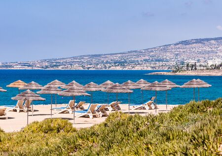 beach with thatched umbrellas on the shore of the island of Cyprusの写真素材