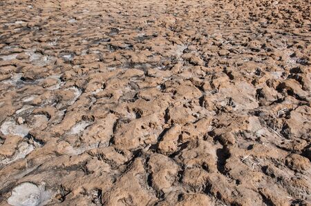 old dried earth brown background with salt precipitatesの写真素材