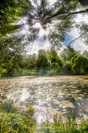 landscape green meadow stream, and the field plowedの写真素材