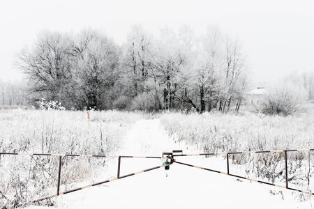 winter landscape gate closed on the lock with chain
の写真素材