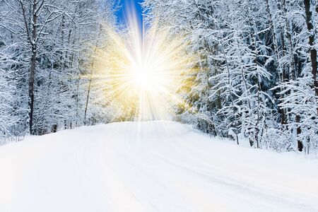winter landscape with snow-covered forest treesの写真素材