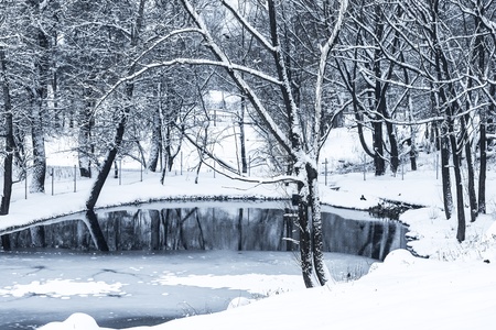 landscape is not still pond with snowy shoreの写真素材