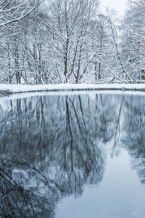 landscape is not still pond with snowy shoreの写真素材