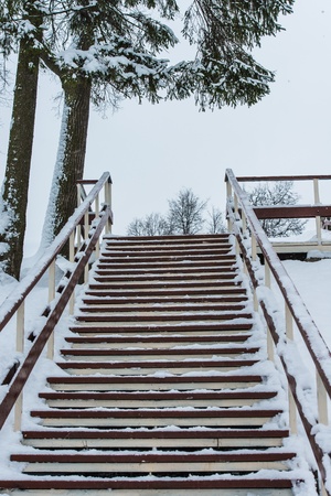 wooden ladder from the bottom up in winterの写真素材