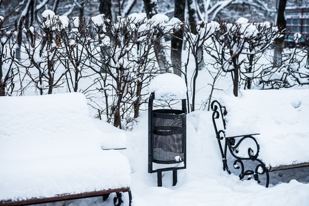 forged bench under the snow in winter parkの写真素材