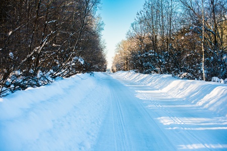 country road passing through the winter woodsの写真素材