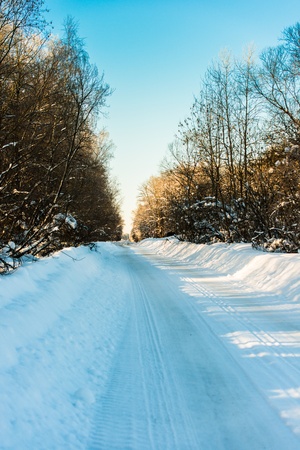 country road passing through the winter woodsの写真素材