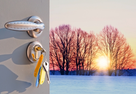 silhouette of trees against the backdrop of a frosty morning open doorの写真素材