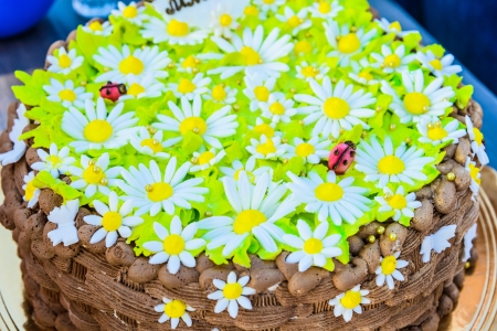 big chocolate cake decorated with flowers and butterfliesの写真素材