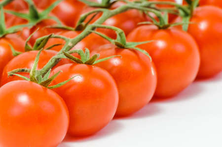bunch of ripe red tomatoes on a branchの写真素材