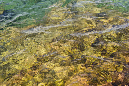 reflection of the sun on the water surface
