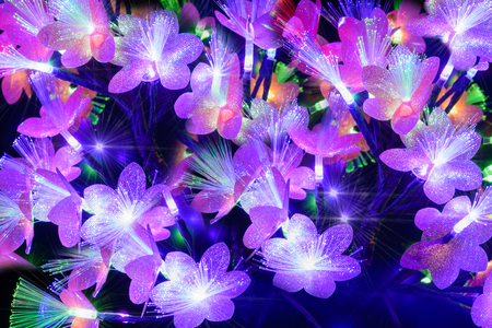 Glowing abstract multicolored flowers on a dark backgroundの写真素材