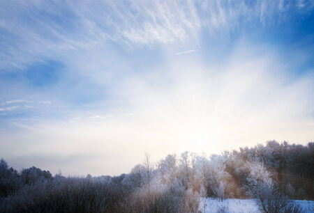 sunset in winter forest trees covered with snowの写真素材