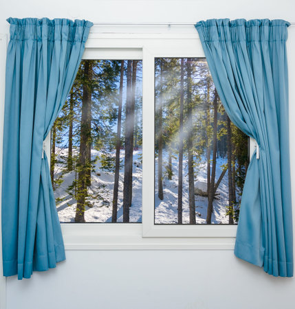 view from the window of a winter forestの写真素材