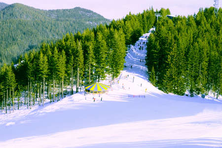 Mountain landscape in sunny winter frosty day with blue clear sky. 
Coniferous trees grow on the slopes lit sunの写真素材