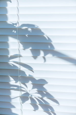 closed plastic blinds on the window with the reflection in the glass